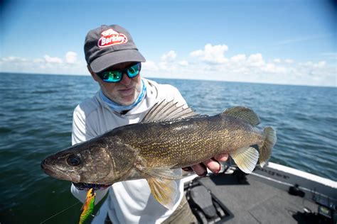 Walleye questions .
